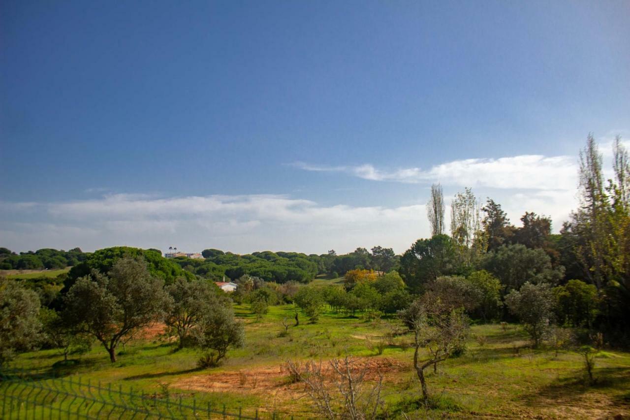 Villa Yvonne,Private Pool,Private Parking 1,7 Km From The Beatch البوفيرا المظهر الخارجي الصورة